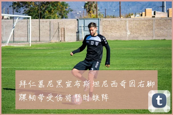 拜仁慕尼黑宣布斯坦尼西奇因右脚踝韧带受伤将暂时缺阵
