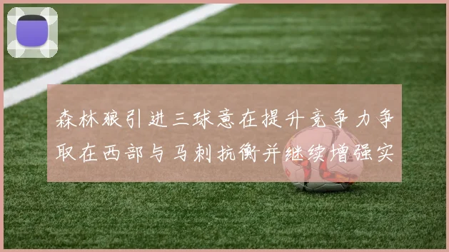 森林狼引进三球意在提升竞争力争取在西部与马刺抗衡并继续增强实力